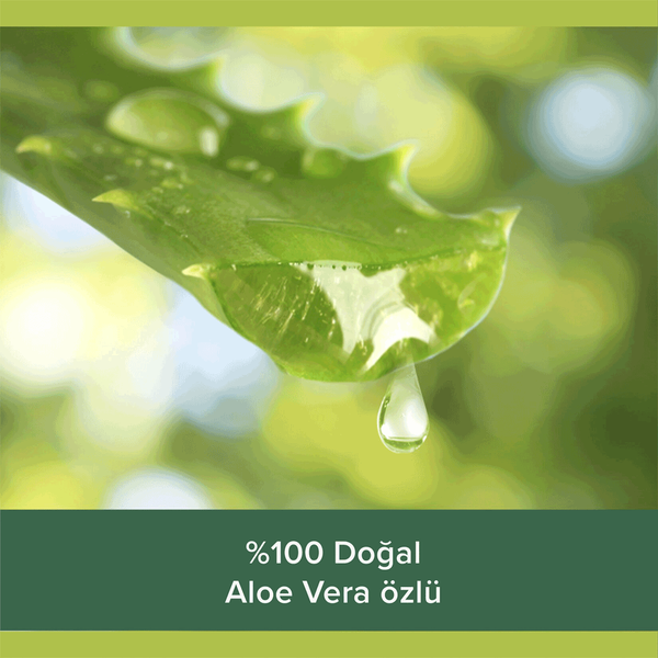 Carousel Main Image 3