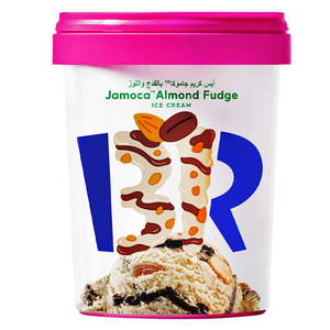 Baskin Robbins Jamoca Almond Fudge Ice Cream