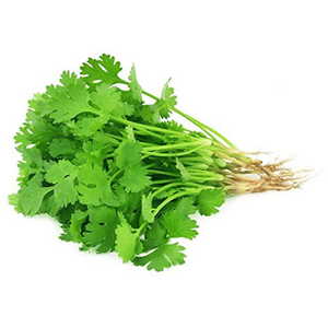 Kuwaiti Coriander