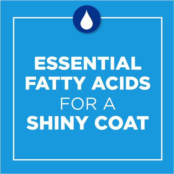 Carousel Main Image 5