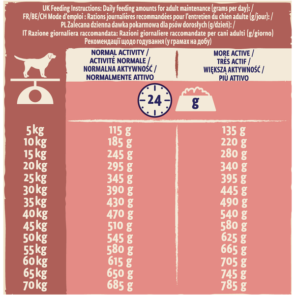 Carousel Main Image 3