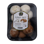 فطر أبيض وبني مشكل