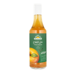 خل التفاح عضوي من أرض الطبيعة