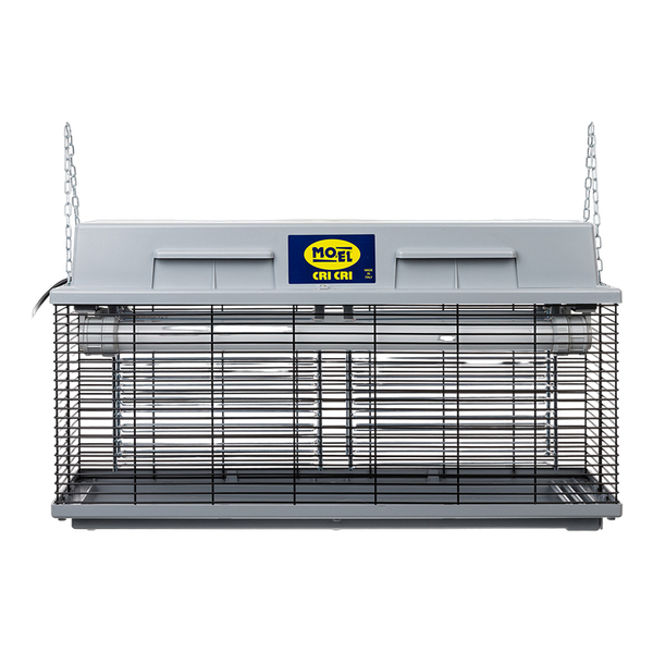 Carousel Main Image 2