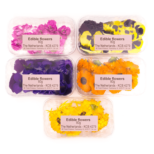 Carousel Main Image 3