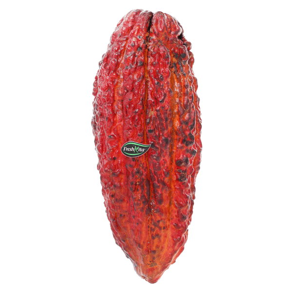 Carousel Main Image 2