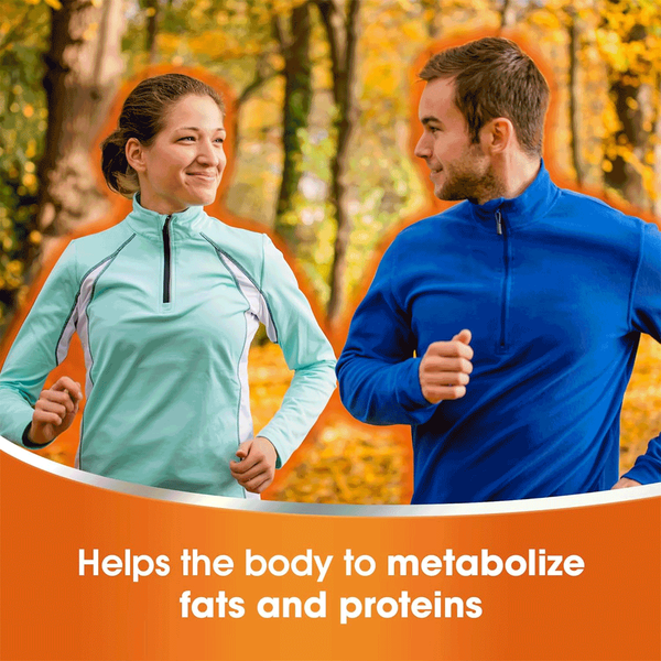 Carousel Main Image 2