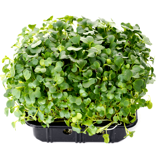 Carousel Main Image 2