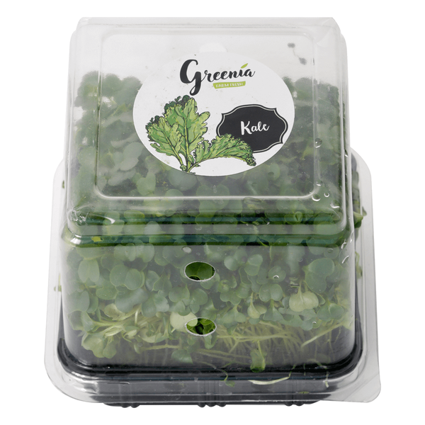 Carousel Main Image 3