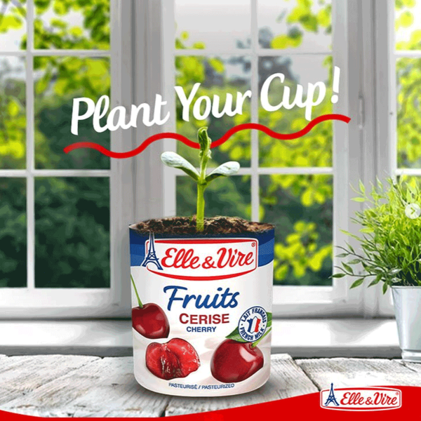 Carousel Main Image 3