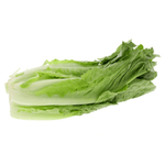 Kuwaiti Romaine Lettuce
