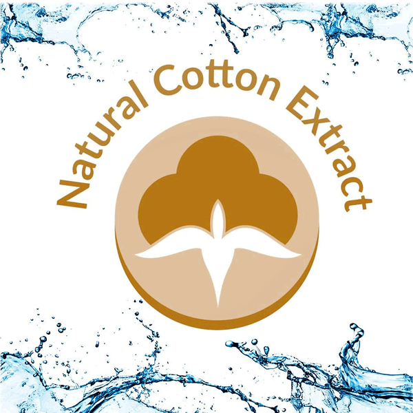 Carousel Main Image 4