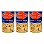 Shaker Mushroom Slices