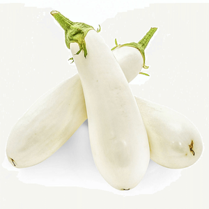 Kuwaiti White Eggplant