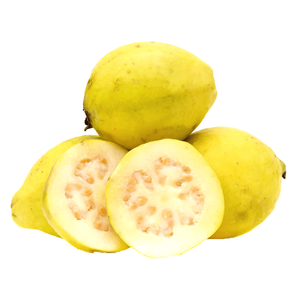 جوافة مصرية