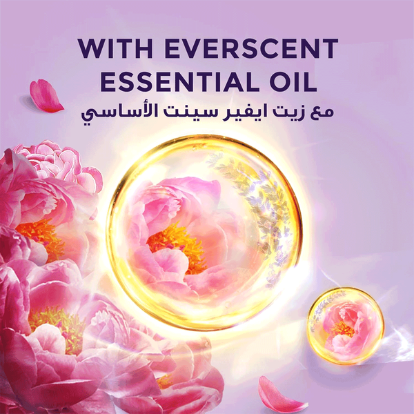 Carousel Main Image 4