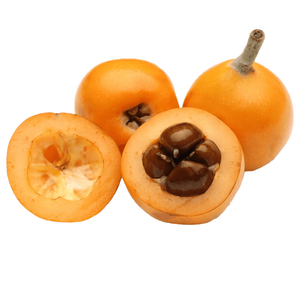 Lebanese loquat