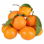 Turkish Clementine