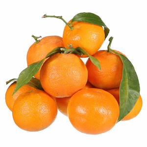 Turkish Clementine
