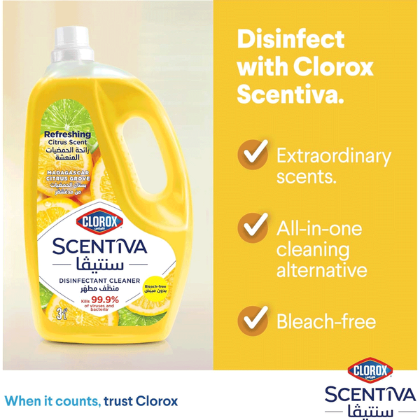 Carousel Main Image 2