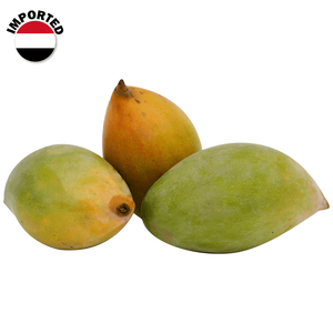 مانجا يمنية