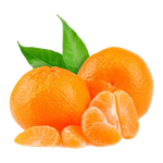 Egypt Mandarin