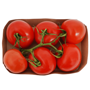 Natureland Organic Tomato Vine