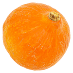 Natureland Organic Orange Pumpkin