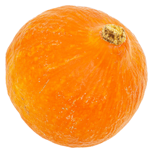 يقطين برتقالي عضوي من أرض الطبيعة