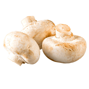 Natureland Mushroom Organic White