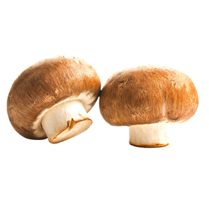Natureland Mushroom Organic Brown