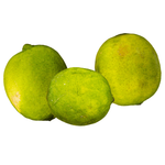 Natureland Limes
