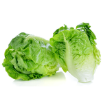 Natureland Organic Mini Lettuce