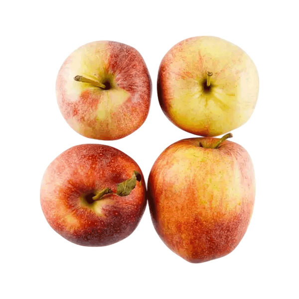 Carousel Main Image 2