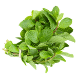 Earth Organic Organic Mint