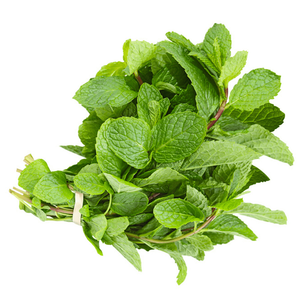 Earth Organic Organic Mint
