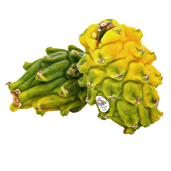 Carousel Main Image 2