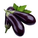 Natureland Organic Eggplant