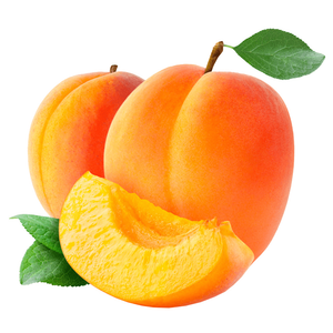 Jordanian Apricot