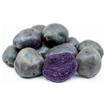 Holland Purple Potato