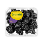 توت أسود من دريسكولز