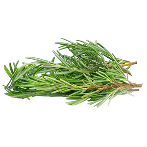 Holland Rosemary