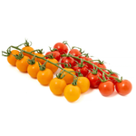 عنقود طماطم كرزية مشكل