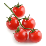 Cherry Tomato Vine