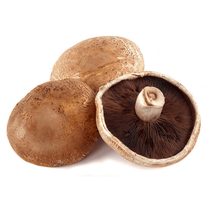 Mushroom Portobello Holland