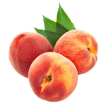 Lebanese Bekfaya Peach