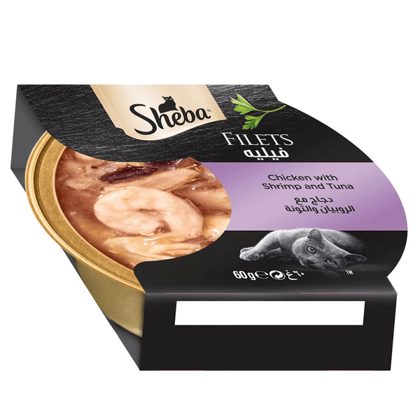 Carousel Main Image 2