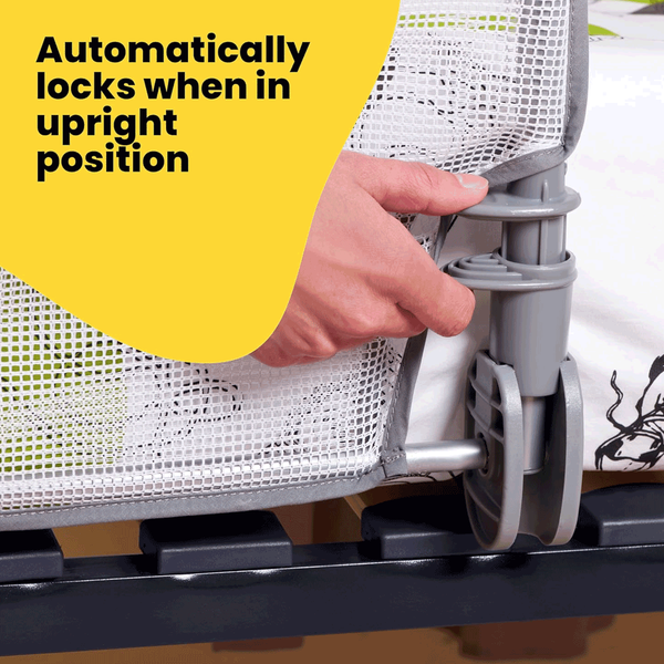 Carousel Main Image 5