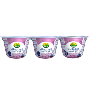 Nada Greek Low Fat Blueberry Yoghurt