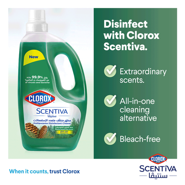 Carousel Main Image 2